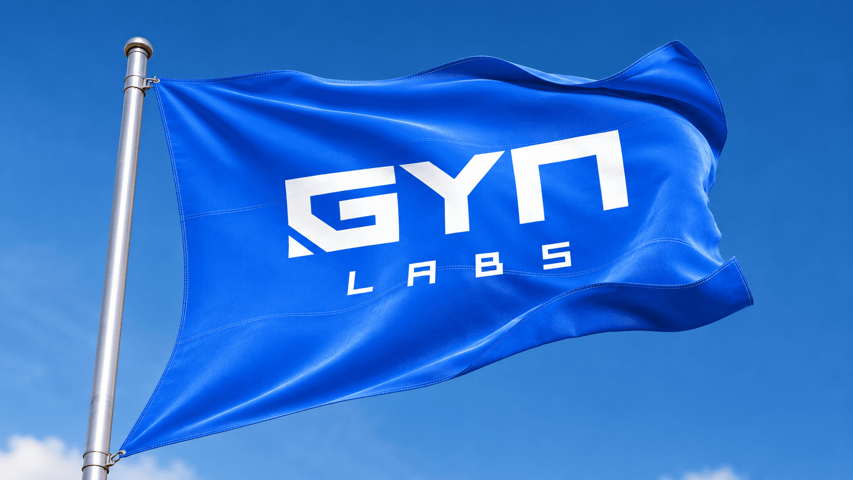 Bandeira da Gyn Labs